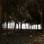 Pine-tree W/ Private Garden 50 M From The Sea Golem