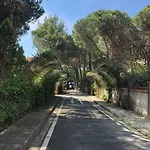 Pine-tree W/ Private Garden 50 M From The Sea Golem