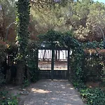Daire Pine-tree W/ Private Garden 50 M From The Sea