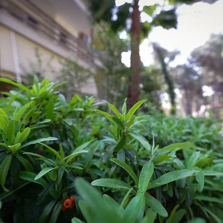 Pine-tree W/ Private Garden 50 M From The Sea Golem (Tirana)
