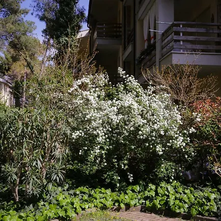 Pine-tree W/ Private Garden 50 M From The Sea Apartament