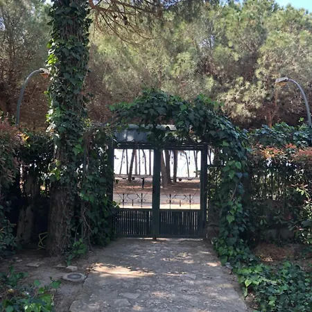 Apartment Pine-tree W/ Private Garden 50 M From The Sea