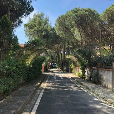 Pine-tree W/ Private Garden 50 M From The Sea Golem (Tirana)
