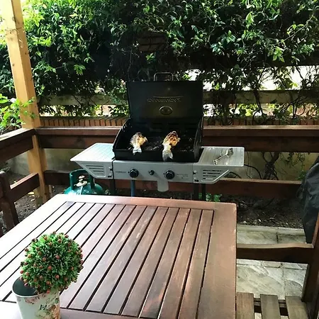 Apartment Pine-tree W/ Private Garden 50 M From The Sea *