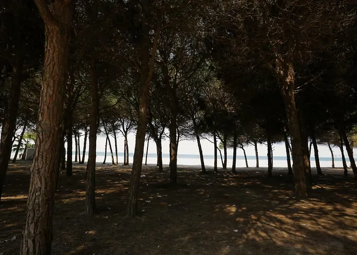 Pine-tree W/ Private Garden 50 M From The Sea Golem (Tirana)