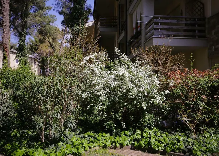 Pine-tree W/ Private Garden 50 M From The Sea Appartamento